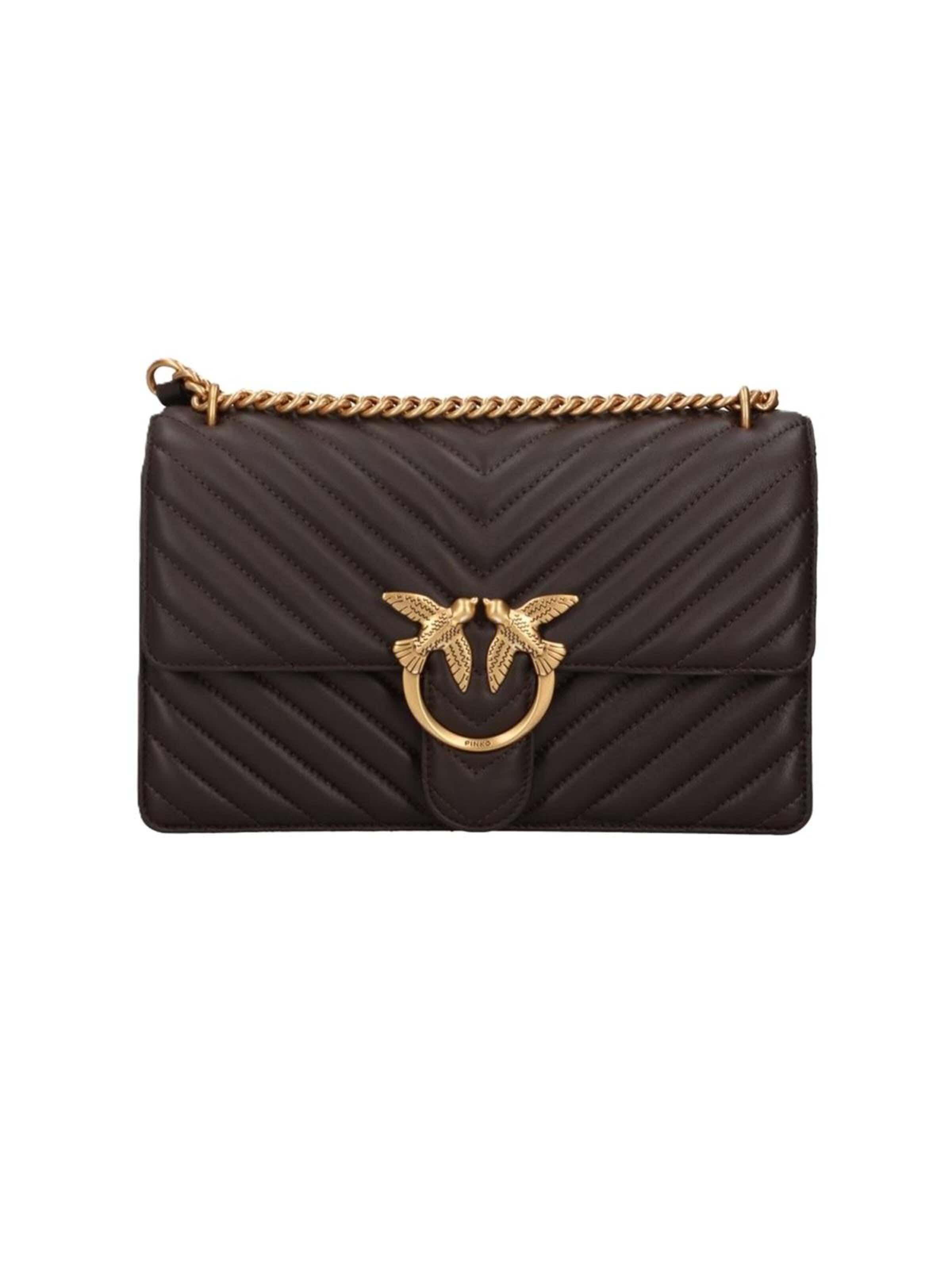PINKO Crossbody Bag '100941 A0GK' in Brown: front