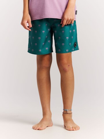PROTEST Board Shorts 'PRTCalvin JR' in Green