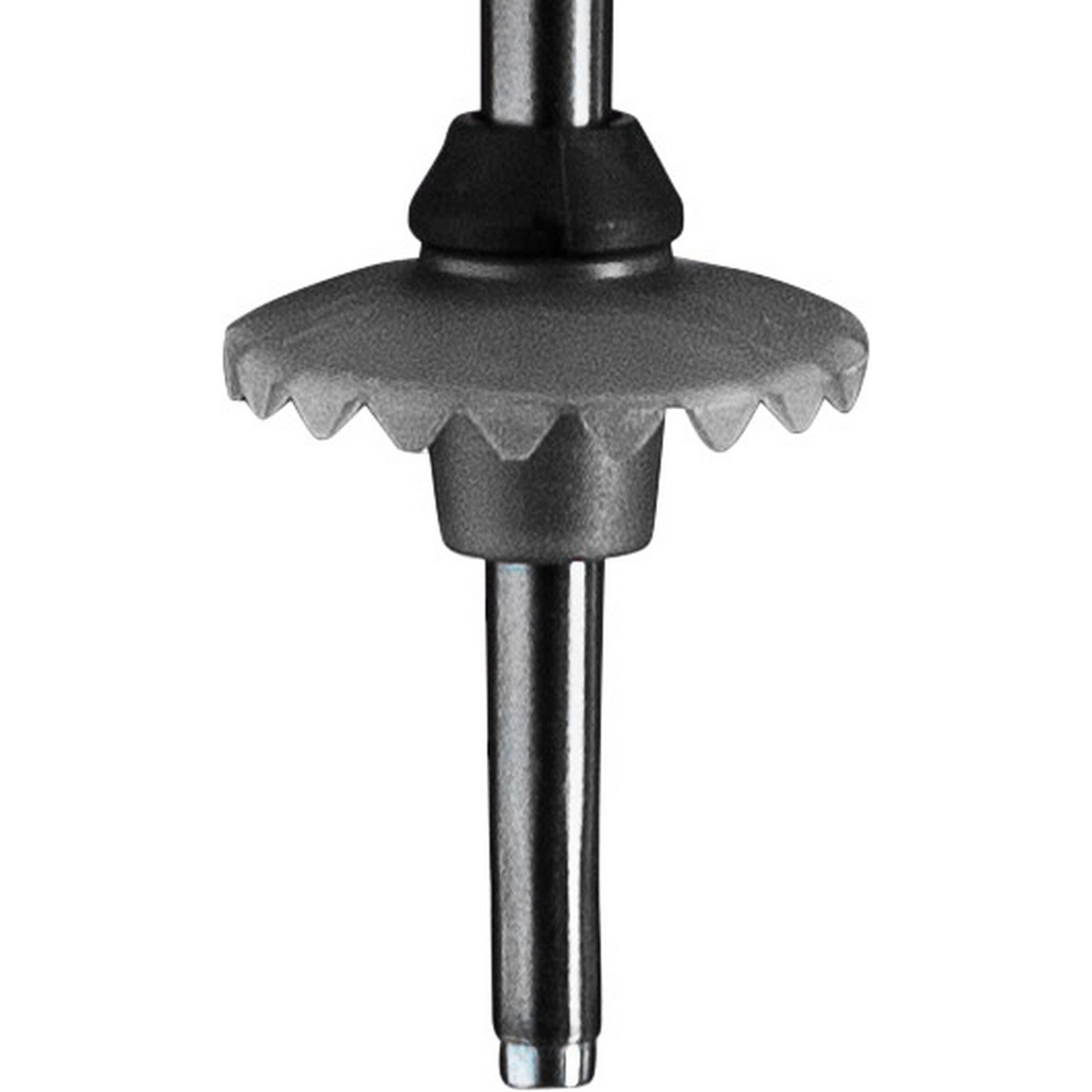 LEKI Stick 'Bliss 23/24' in Mixed colors