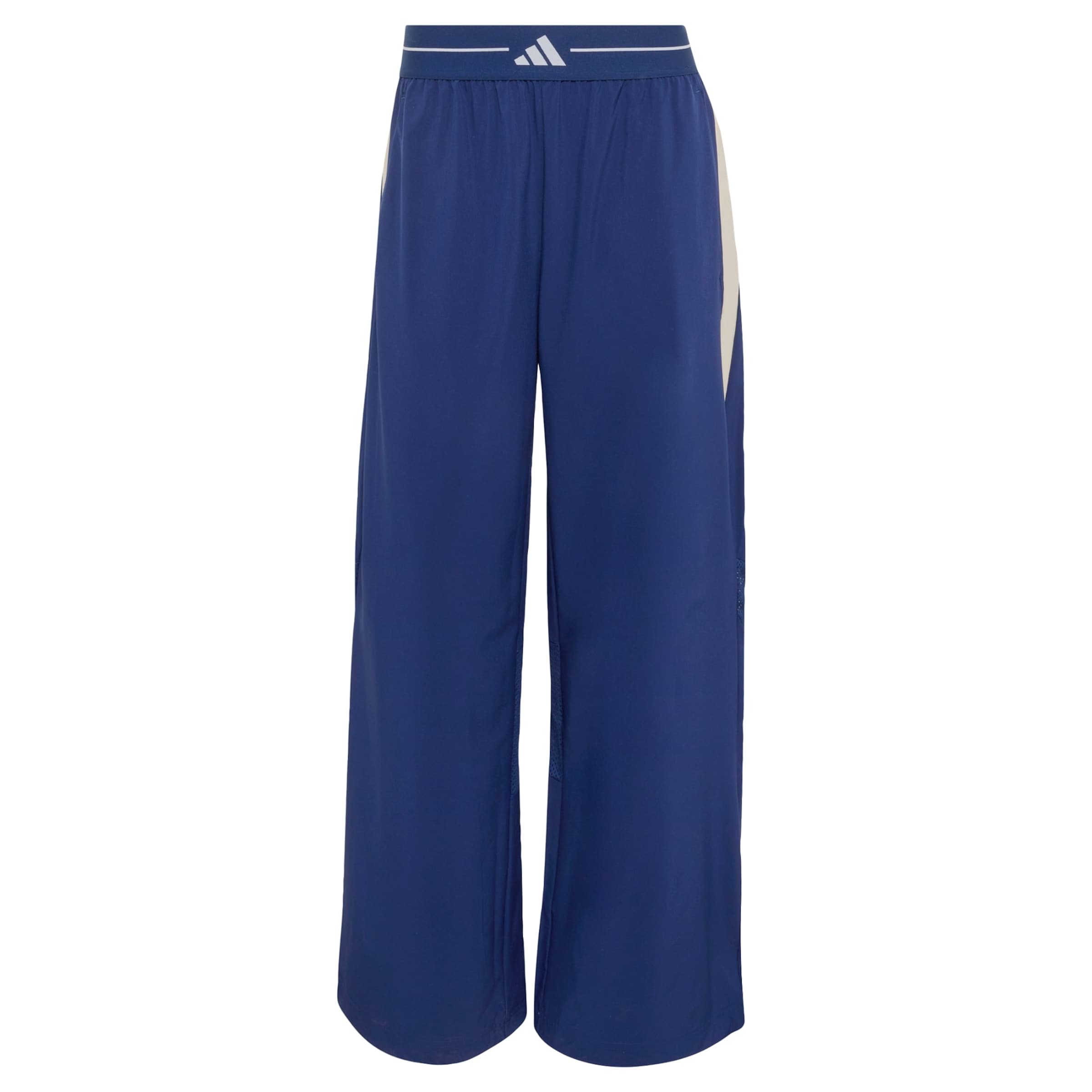 ADIDAS PERFORMANCE Παντελόνι φόρμας σε μπλε: μπροστά