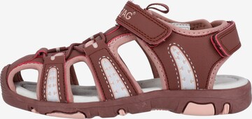 ZigZag Sandals & Slippers 'Konha' in Brown