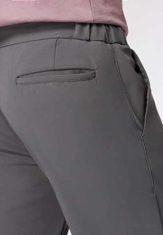 Regular Pantalon ROY ROBSON en gris