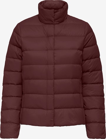 ONLY Winter Jacket 'ONLRuby' in Purple: front