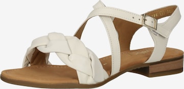 GABOR Strap Sandals in Beige: front