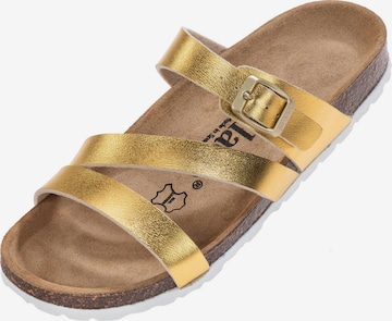 Palado Mules 'Ikaria' in Gold: front