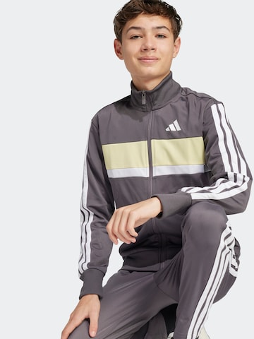 ADIDAS SPORTSWEAR Tréningruha 'Seasonal Essentials Tiberio' - szürke