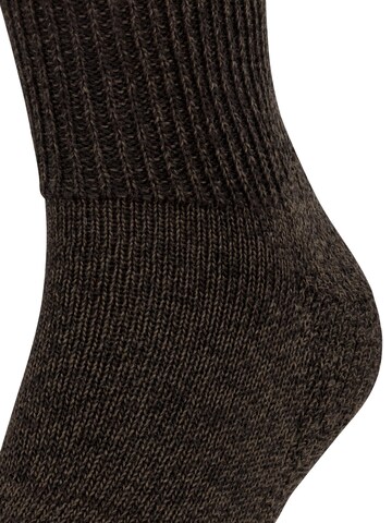 FALKE Socks 'Walkie Ergo' in Brown