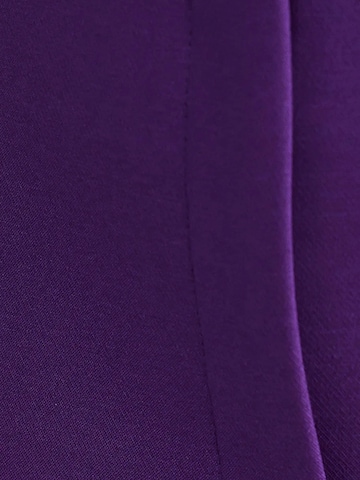 Hiccup Regular Broek in Lila