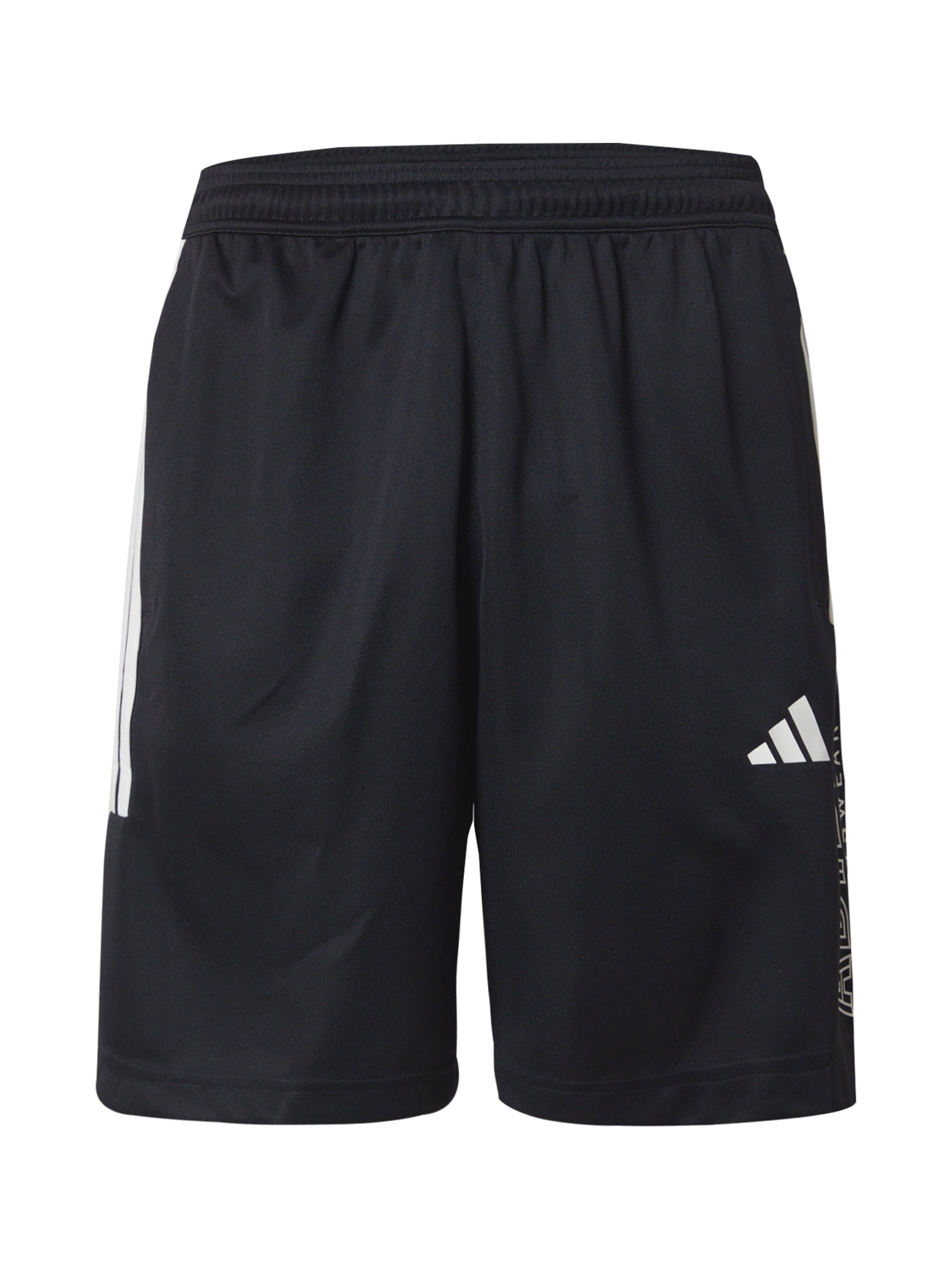 ADIDAS SPORTSWEAR Regular Спортен панталон &#x27;TIRO&#x27; в черно: отпред