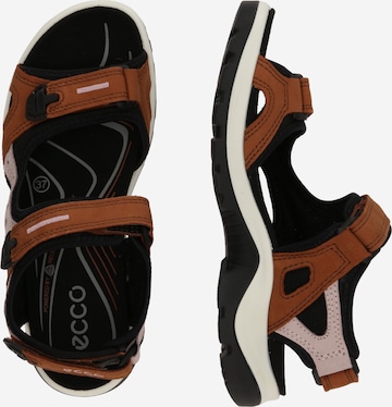 ECCO Trekingové sandály 'Offroad' – hnědá