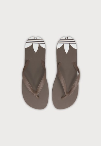 ADIDAS ORIGINALS Žabky 'Adi Sun' - Hnedá