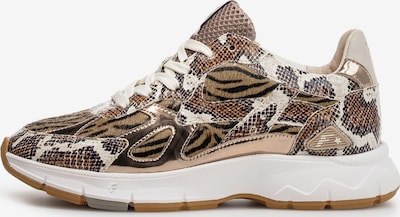 Floris van Bommel Platform trainers 'DAYSI 07' in 36 in Brown / Light brown, Item view