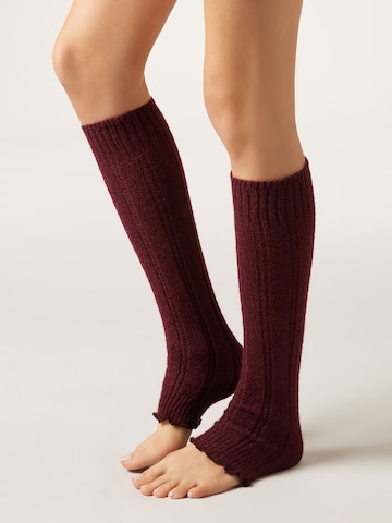 CALZEDONIA Socken in Rot: Vorderseite