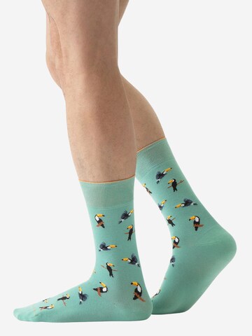 Von Jungfeld Socken 'Tukan' in Blau