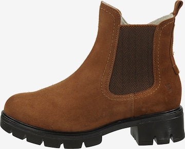SALAMANDER Ankle Boots in Brown