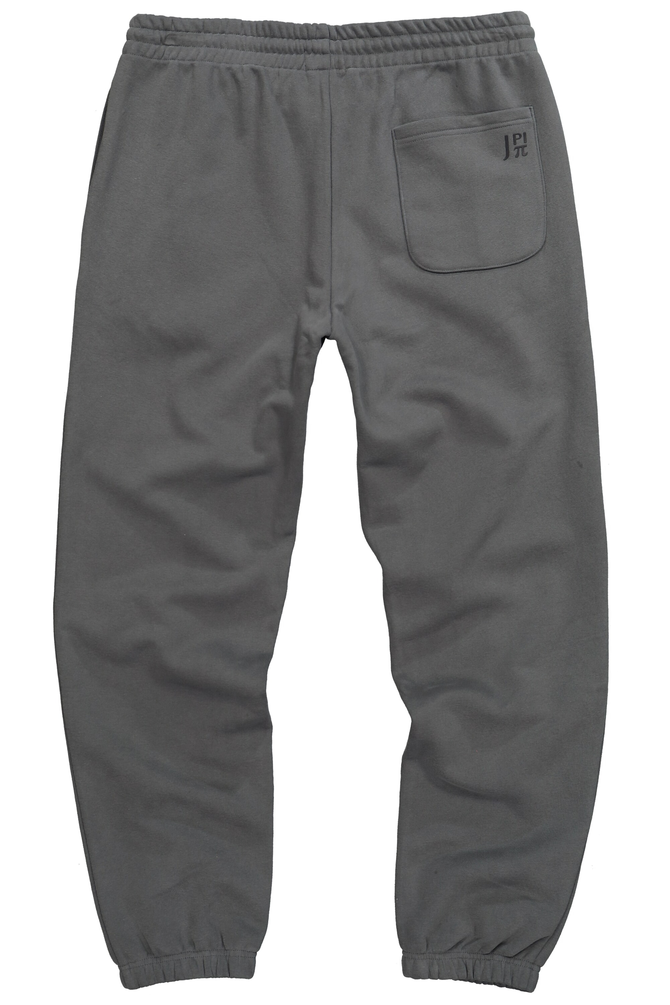JAY-PI Regular Athletic Pants in Grey