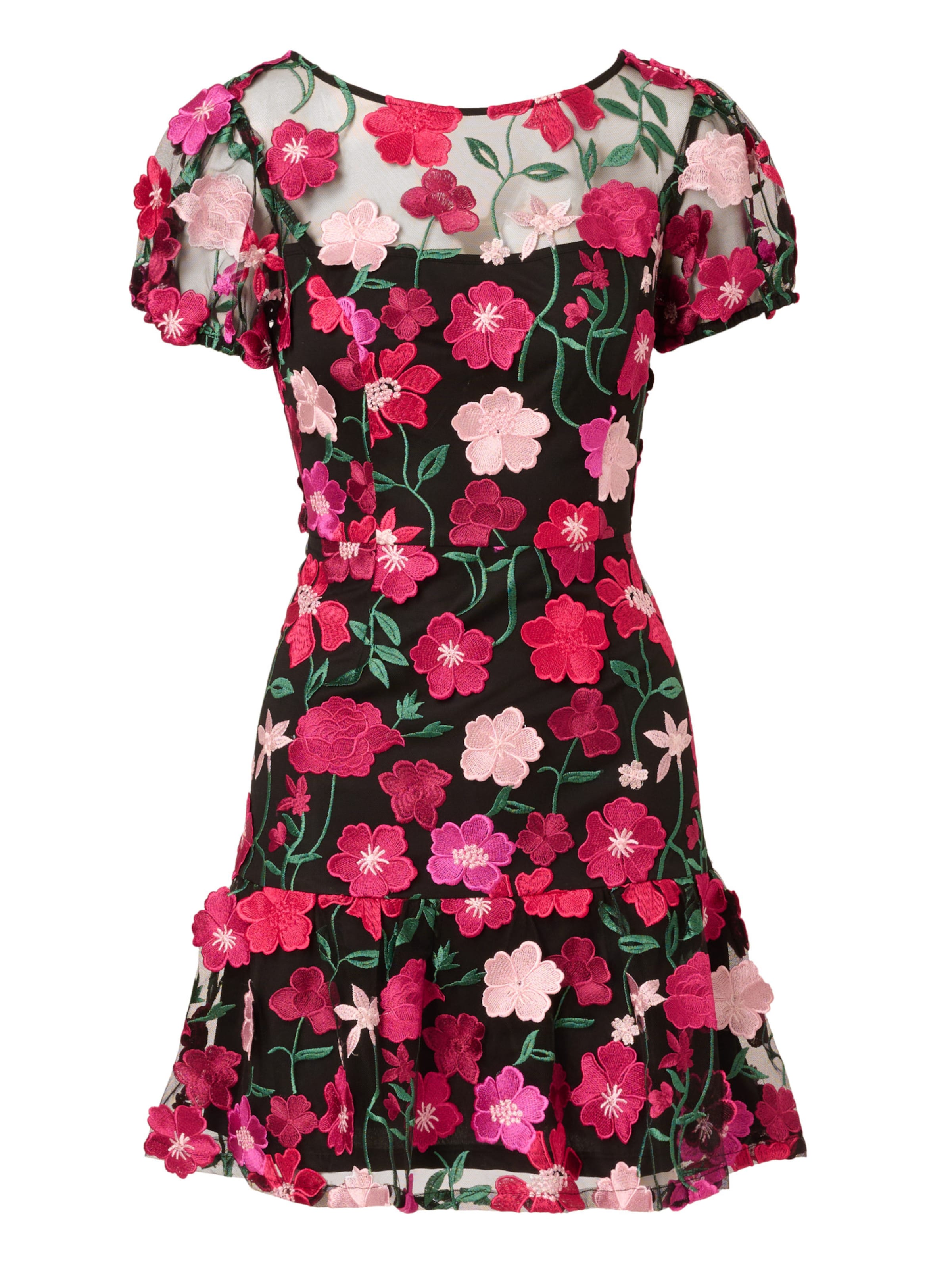 Adrianna Papell Cocktailkleid 'Embroidered Flounce' in Schwarz: Vorderseite