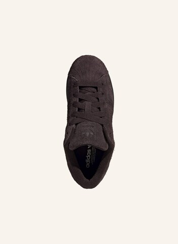 Sneaker bassa 'Superstar II' di ADIDAS ORIGINALS in marrone