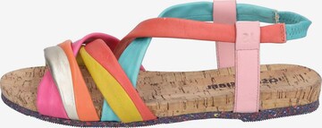 Sandales à lanières 'Henriette 03' JOSEF SEIBEL en mélange de couleurs