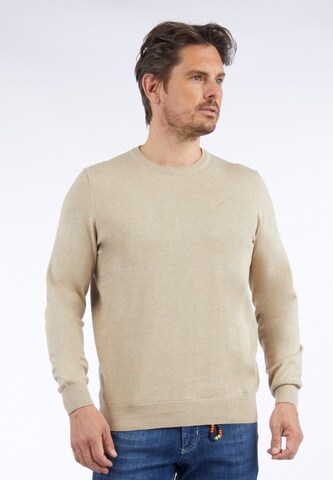 HECHTER PARIS Sweater in Beige: front