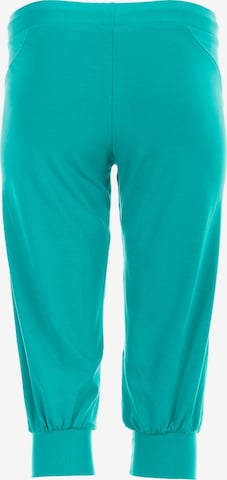 Effilé Pantalon de sport 'WBE5' Winshape en vert