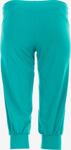 Tapered Pantaloni sportivi 'WBE5' di Winshape in verde