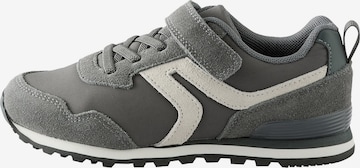 Next Tennarit värissä harmaa: etupuoli