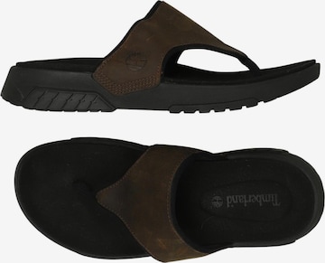 TIMBERLAND Sandalen 40 in Braun: Vorderseite
