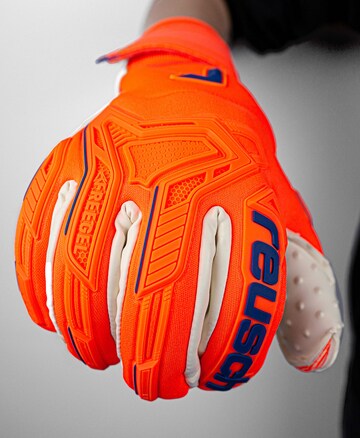 REUSCH Torwarthandschuhe 'Attrakt Freegel SpeedBump' in Orange