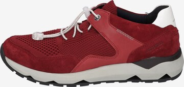JOSEF SEIBEL Sneakers 'Jeremiah 02' in Red: front
