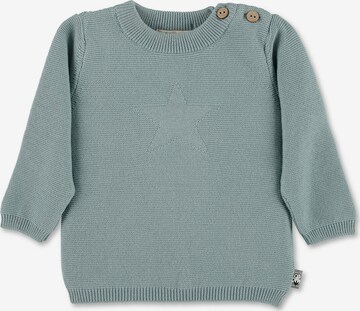 STERNTALER Pullover (GOTS) in Grün: predná strana