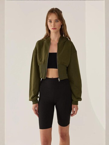 Hiccup Zip-Up Hoodie in Green: front