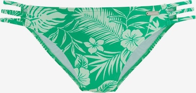 Slip costum de baie VENICE BEACH pe verde mentă / verde deschis, Vizualizare produs