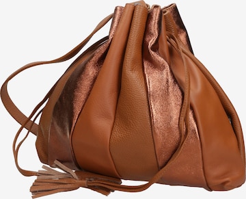 Gave Lux Pouch in Brown: front