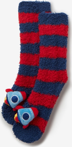 CALZEDONIA Socks in Blue: front