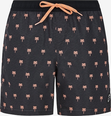 PROTEST Board Shorts 'PRTParco' in Grey: front