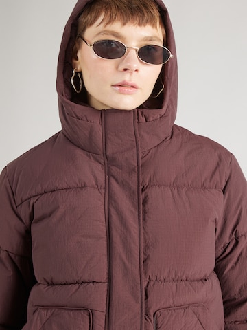 Champion Authentic Athletic Apparel Jacke in Braun