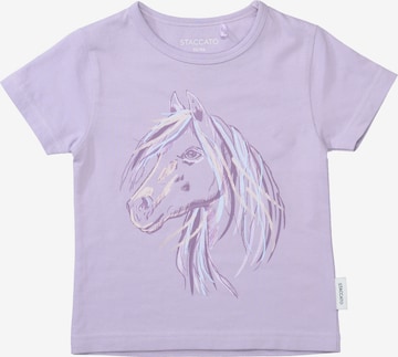 purpurinė STACCATO Marškinėliai: priekis