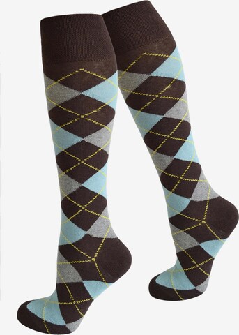 normani Knee High Socks in Mixed colors