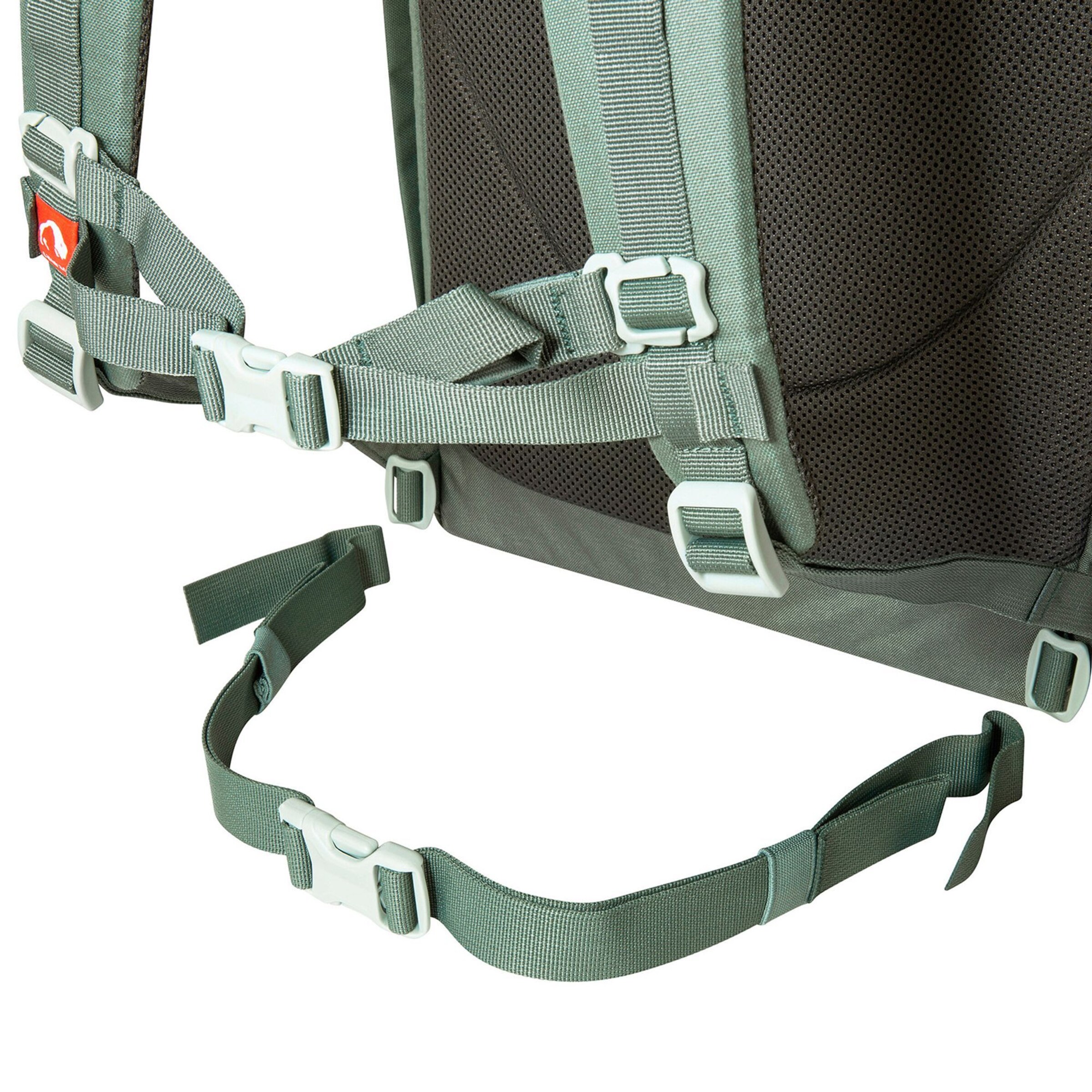 TATONKA Rugzak in Groen