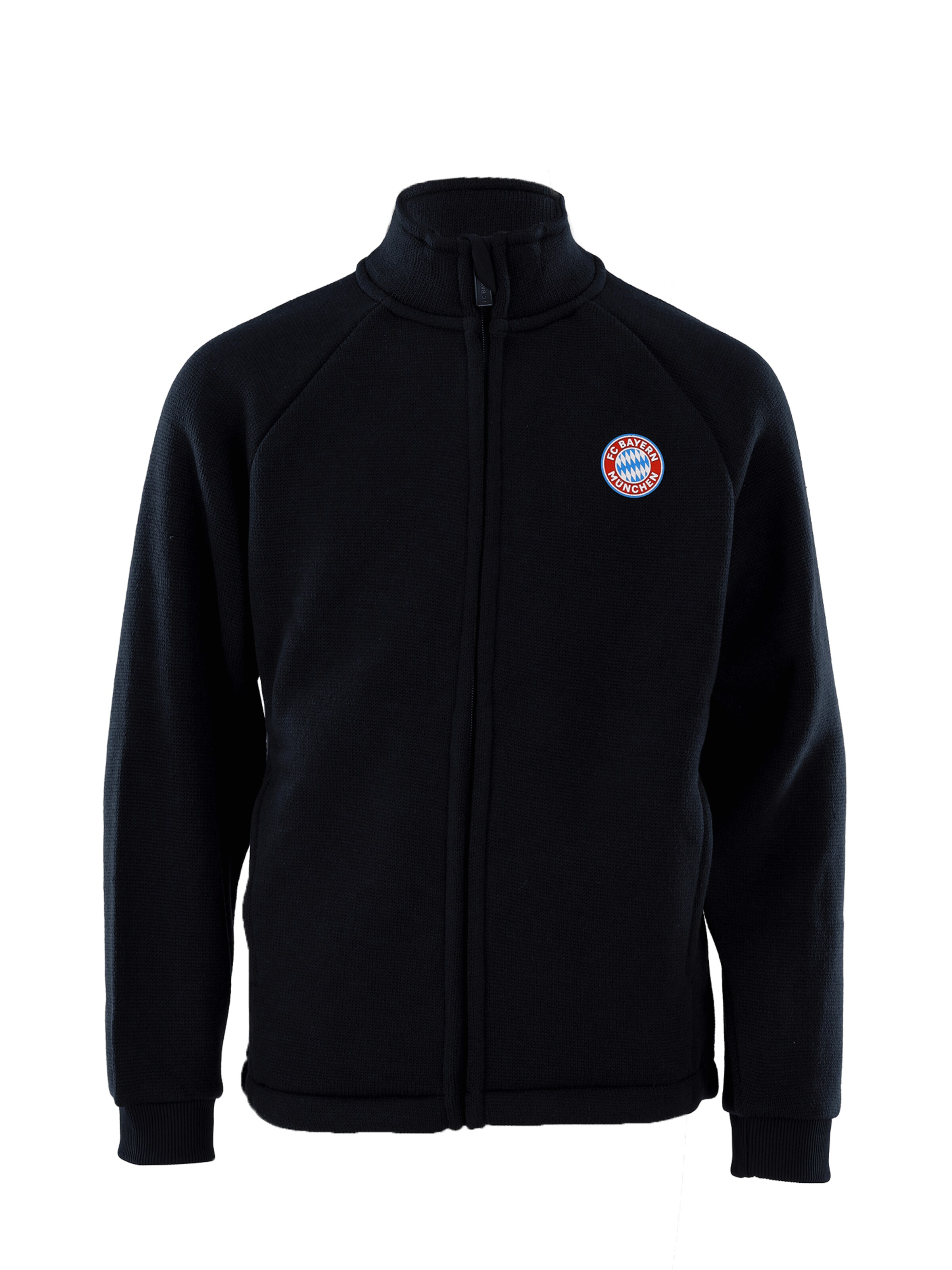 FC BAYERN MÜNCHEN Between-Season Jacket in Blue: front