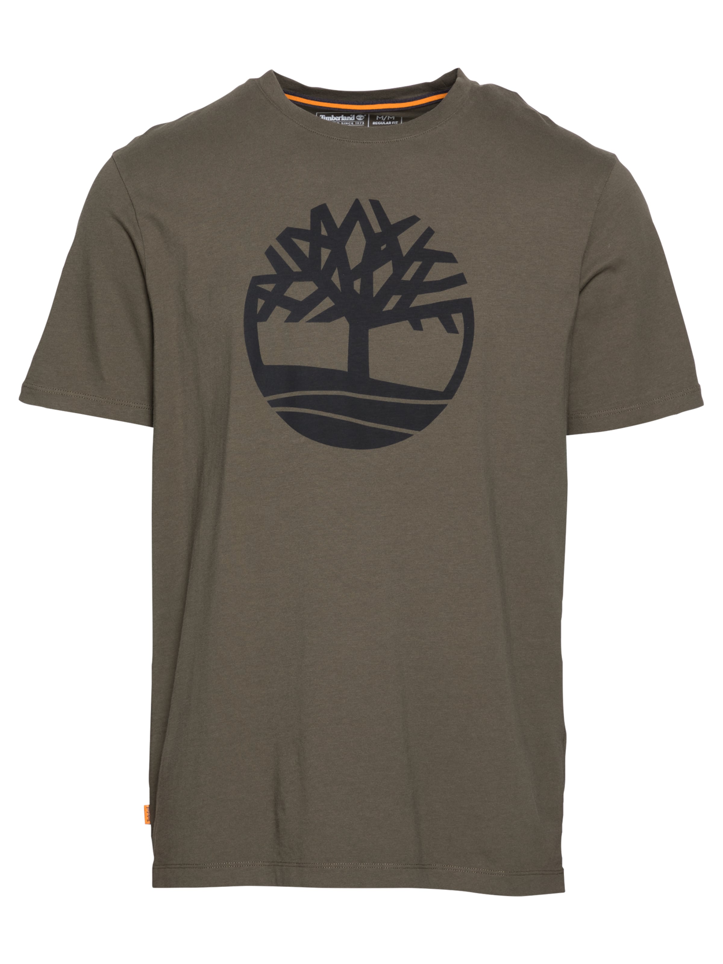 TIMBERLAND Тениска 'Kennebec River' в зелено: отпред