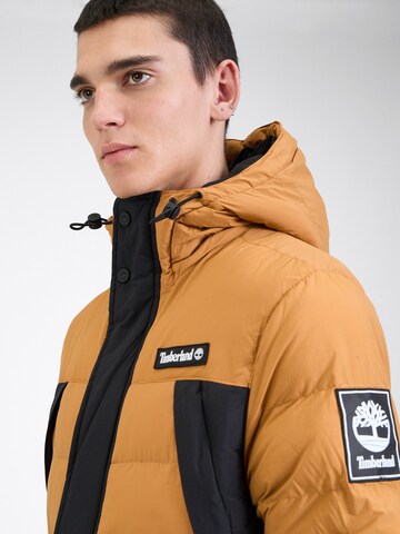 Giacca invernale di TIMBERLAND in marrone