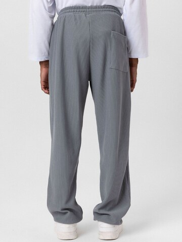 Antioch Loose fit Trousers 'Rafael' in Grey
