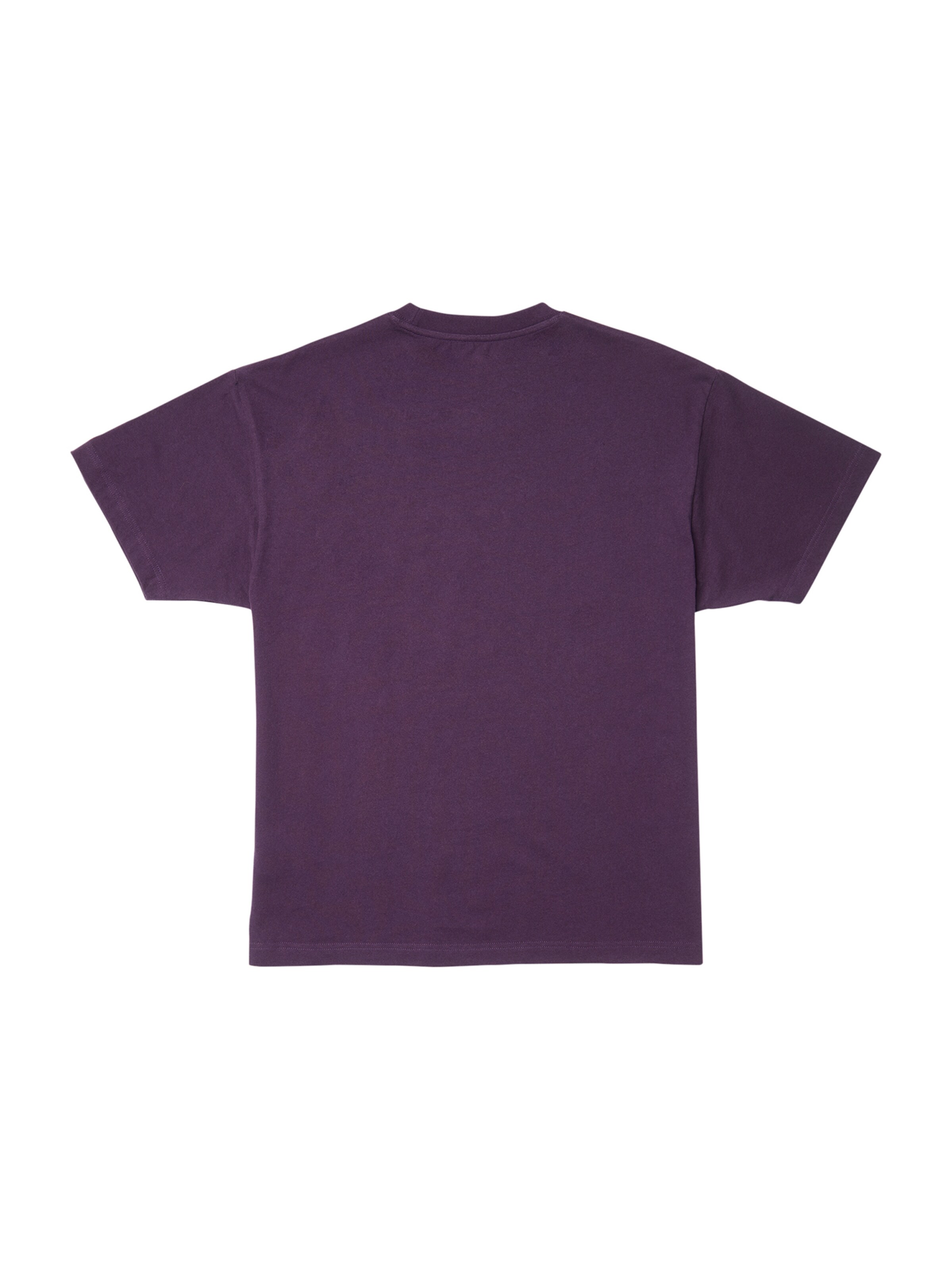 Volcom Shirt 'VOLCOM STONE' in Purple