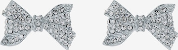 Ted Baker Earrings 'BARSETA' in Silver: front