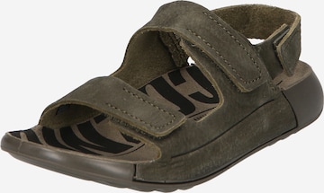 ECCO Sandals & Slippers in Green: front