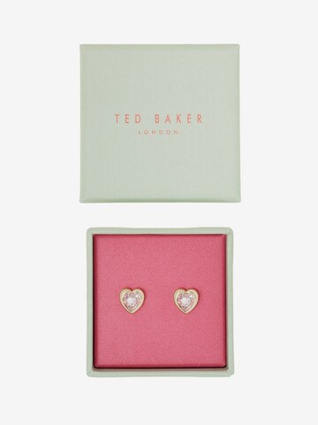 Ted Baker - Brincos em ouro