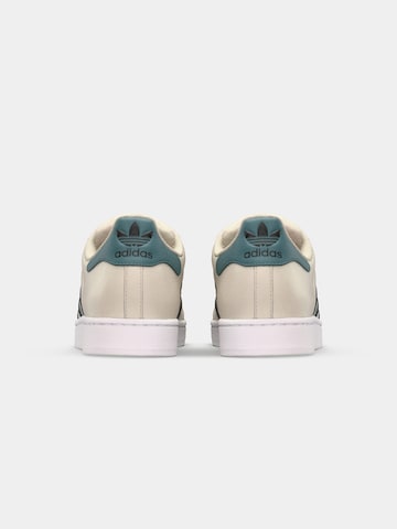 Sneaker bassa 'SUPERSTAR II' di ADIDAS ORIGINALS in beige
