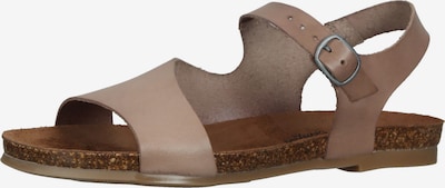 Sandalo con cinturino COSMOS COMFORT di colore talpa, Visualizzazione prodotti